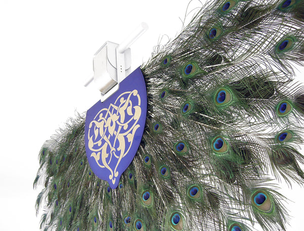 Order The Peacock Ceiling Fan from the Solitaire Collection | Anemos