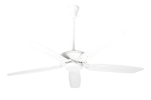 Vector WH Ceiling Fan - Anemos Home Decor